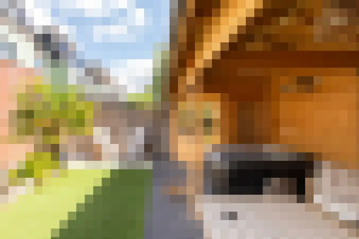 Hof van Edinburgh 25 Doetinchem thumbnail 4