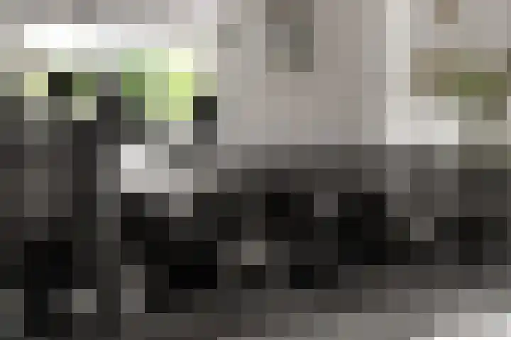 Hof van Edinburgh 9 Doetinchem thumbnail 13