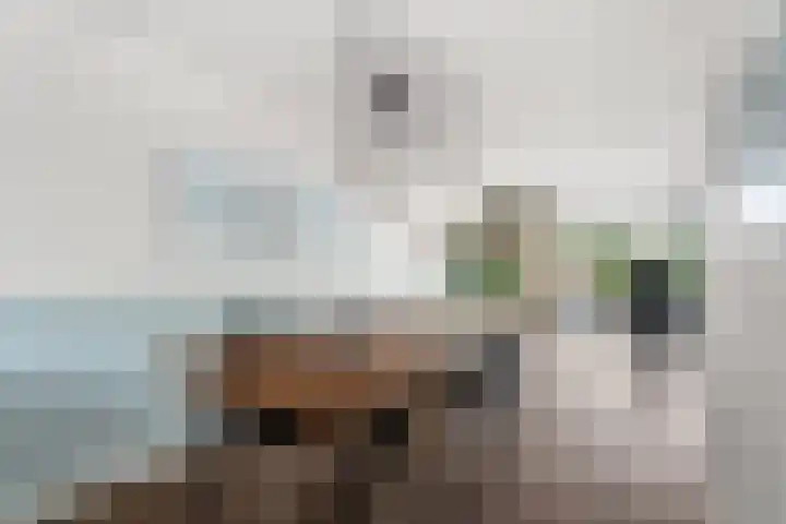 Hof van Edinburgh 9 Doetinchem thumbnail 16