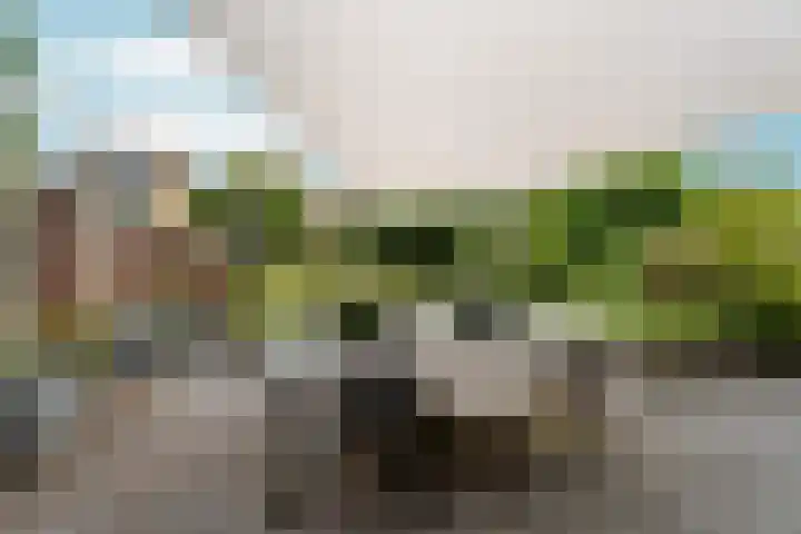 Hof van Edinburgh 9 Doetinchem thumbnail 18