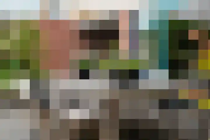Hof van Edinburgh 9 Doetinchem thumbnail 20