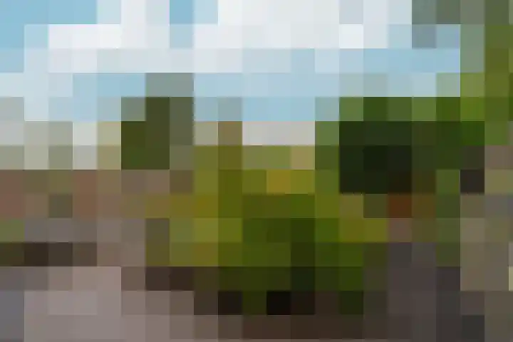 Hof van Edinburgh 9 Doetinchem thumbnail 24