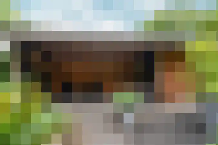 Hof van Edinburgh 9 Doetinchem thumbnail 26