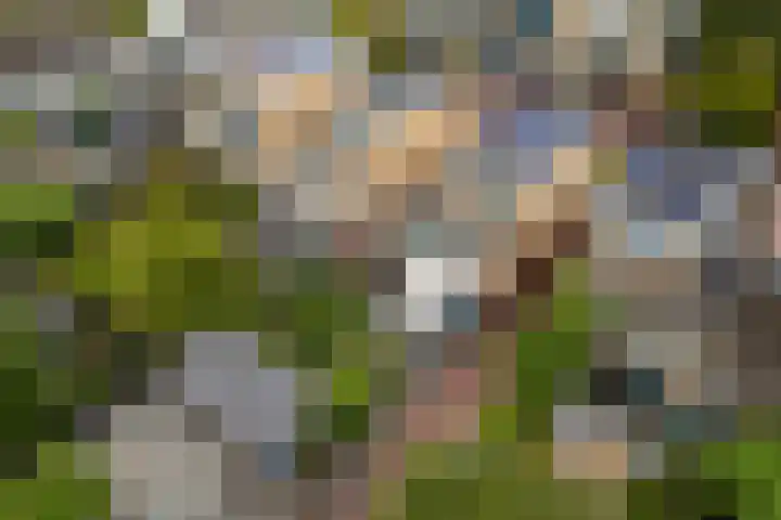 Hof van Edinburgh 9 Doetinchem thumbnail 61