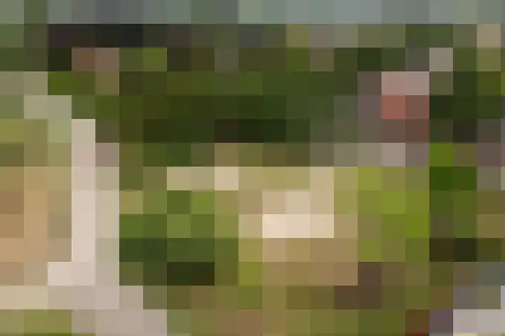 Hof van Edinburgh 9 Doetinchem thumbnail 64