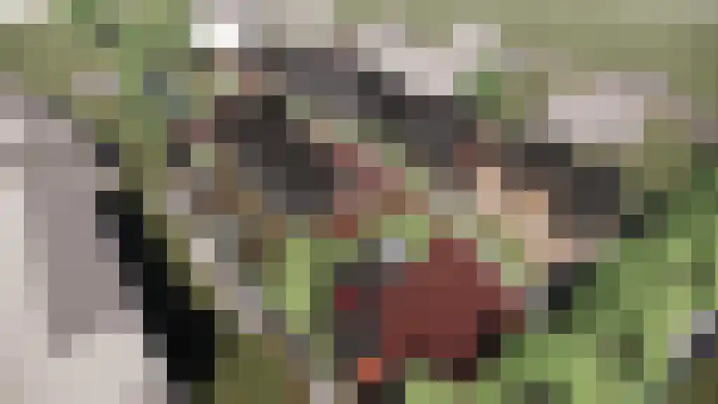 Hof van Ewwert 7 Tilligte thumbnail 5