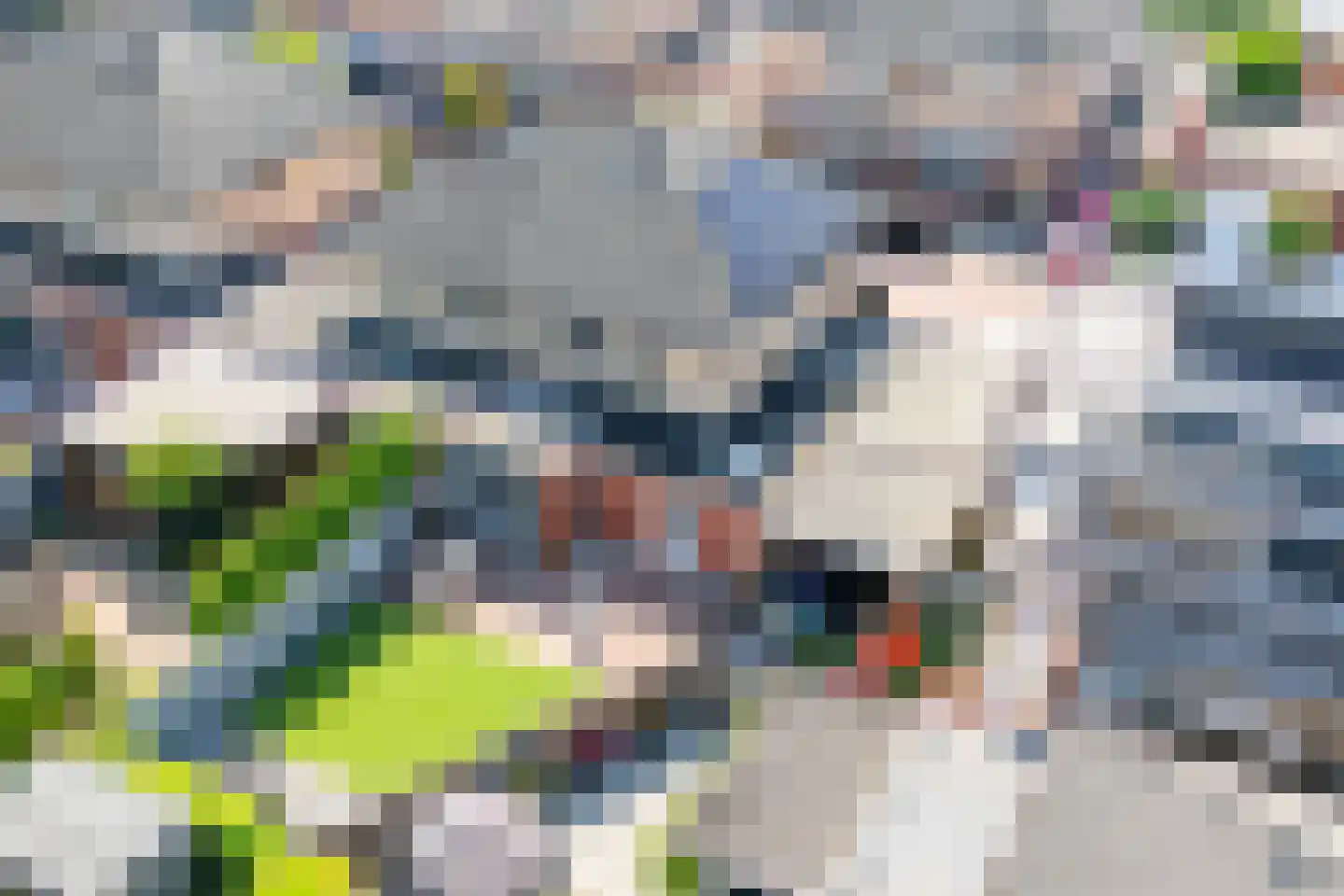 Hof van Florence 3 Doetinchem thumbnail 41