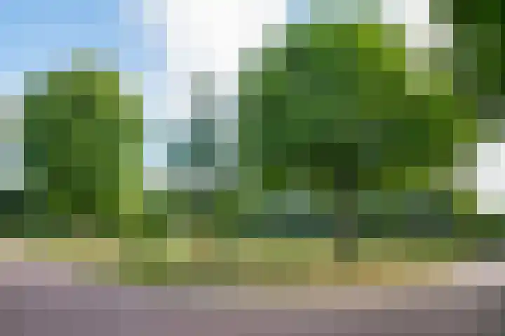 Hof van Florence 42 Doetinchem thumbnail 54