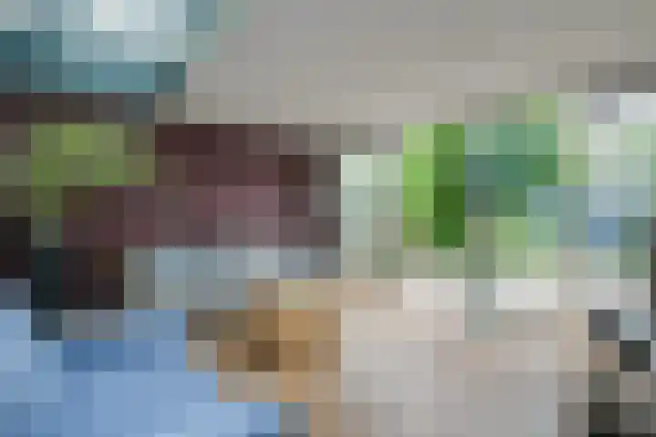 Hof van Florence 42 Doetinchem thumbnail 8