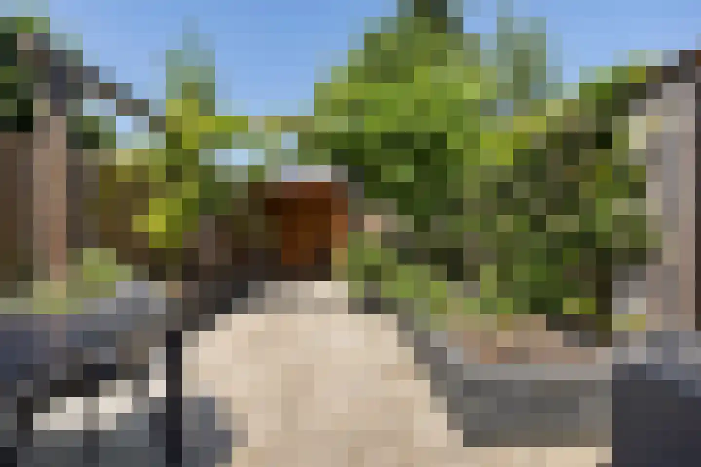Hof van Fort 18 Oss thumbnail 20