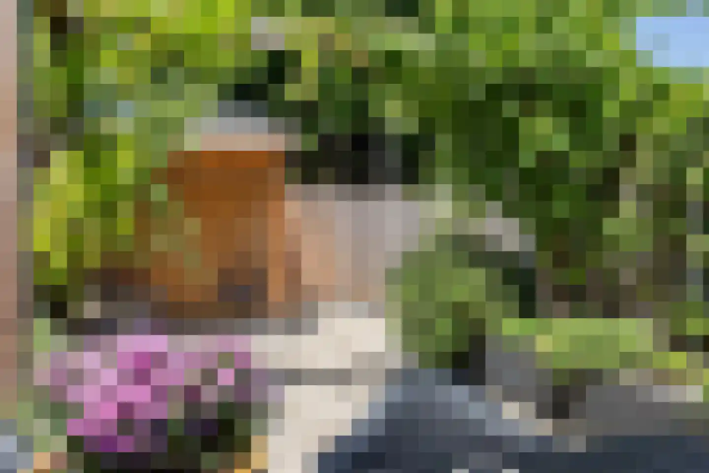 Hof van Fort 18 Oss thumbnail 21