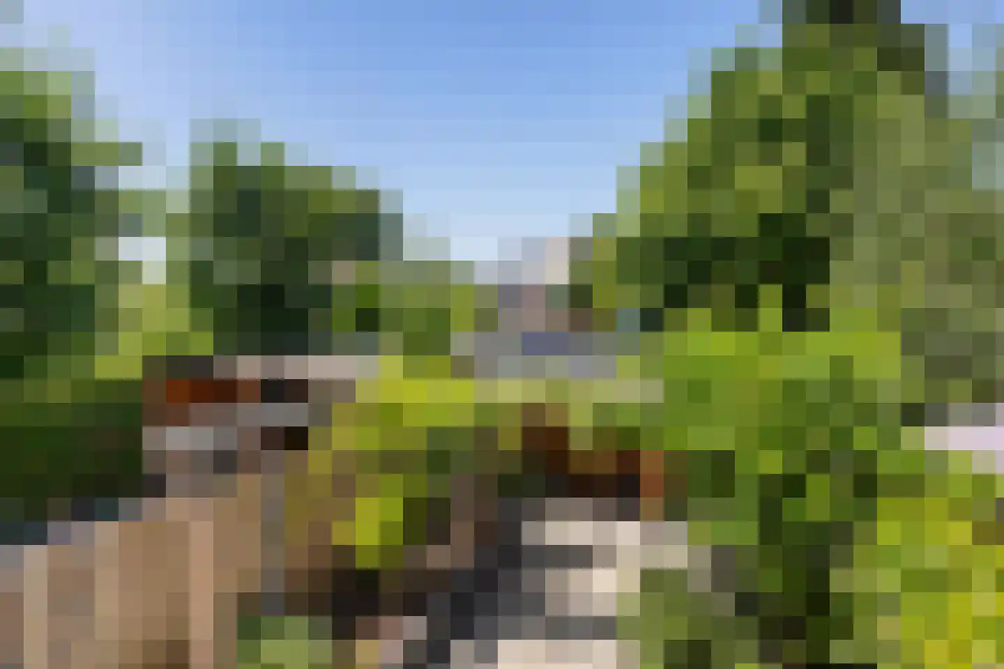 Hof van Fort 18 Oss thumbnail 25