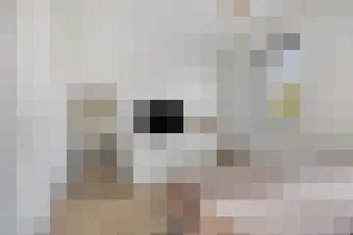 Hof van Fort 2 Oss thumbnail 22