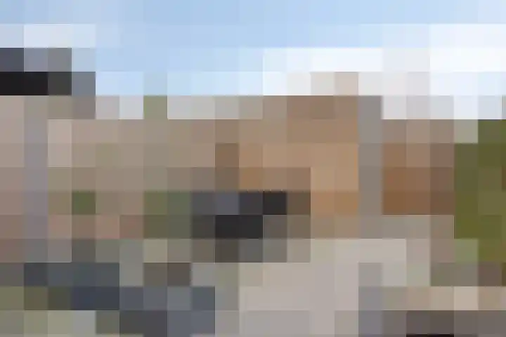 Hof van Fort 2 Oss thumbnail 33