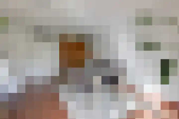 Hof van Gent 17 Doetinchem thumbnail 12