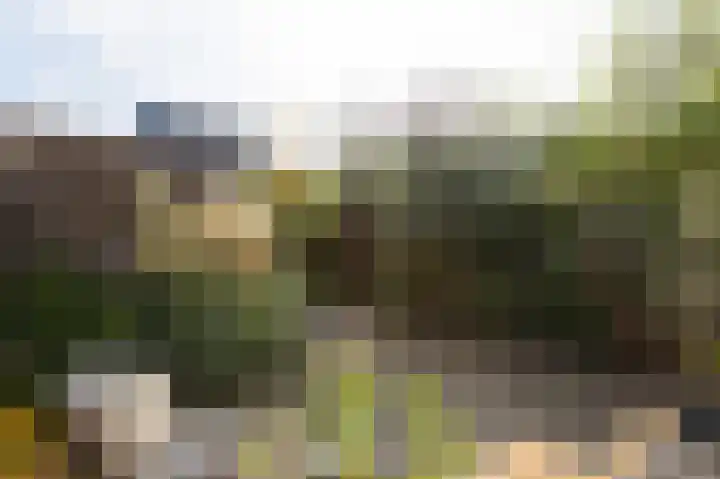 Hof van Gent 17 Doetinchem thumbnail 16