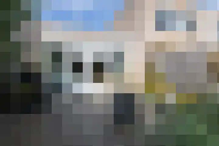 Hof van Gent 17 Doetinchem thumbnail 19