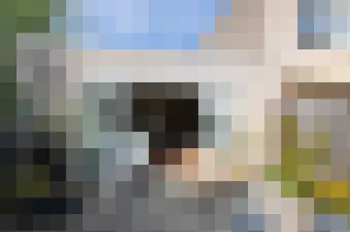 Hof van Gent 17 Doetinchem thumbnail 20