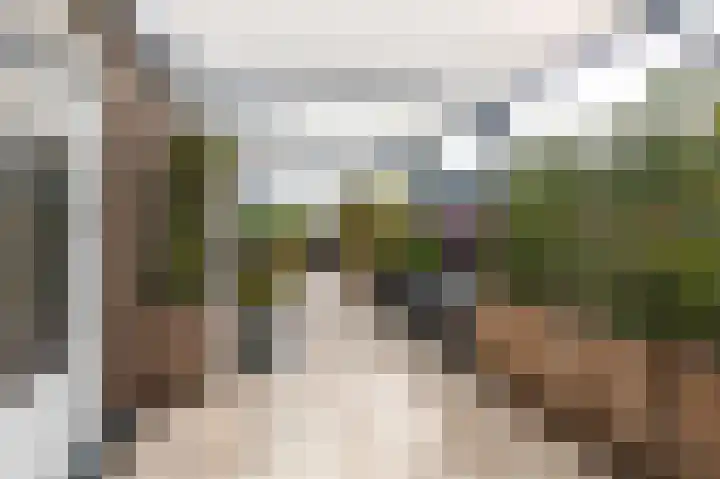 Hof van Gent 17 Doetinchem thumbnail 42