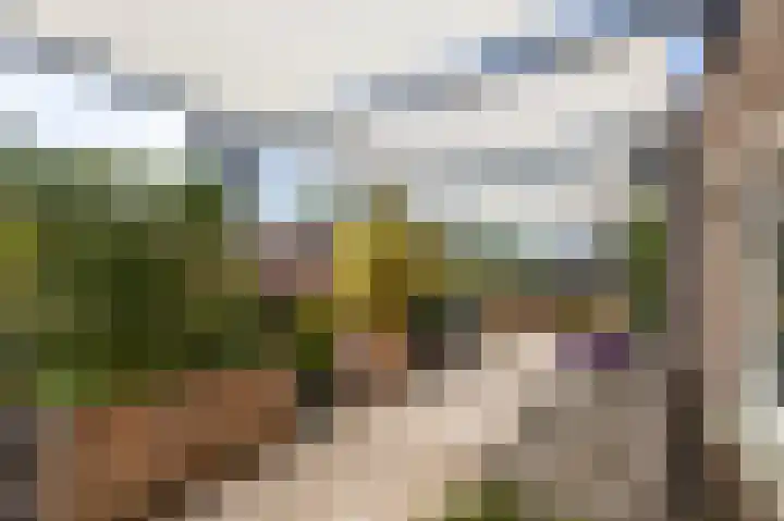 Hof van Gent 17 Doetinchem thumbnail 44
