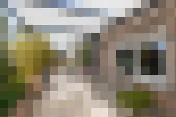 Hof van Gent 17 Doetinchem thumbnail 46