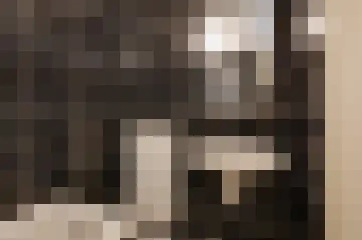Hof van Gent 17 Doetinchem thumbnail 53