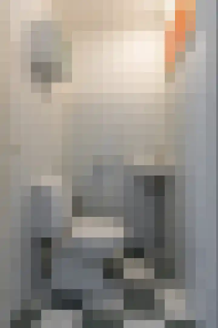 Hof van Gent 17 Doetinchem thumbnail 7