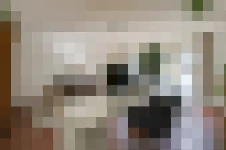 Hof van Gent 17 Doetinchem thumbnail 9