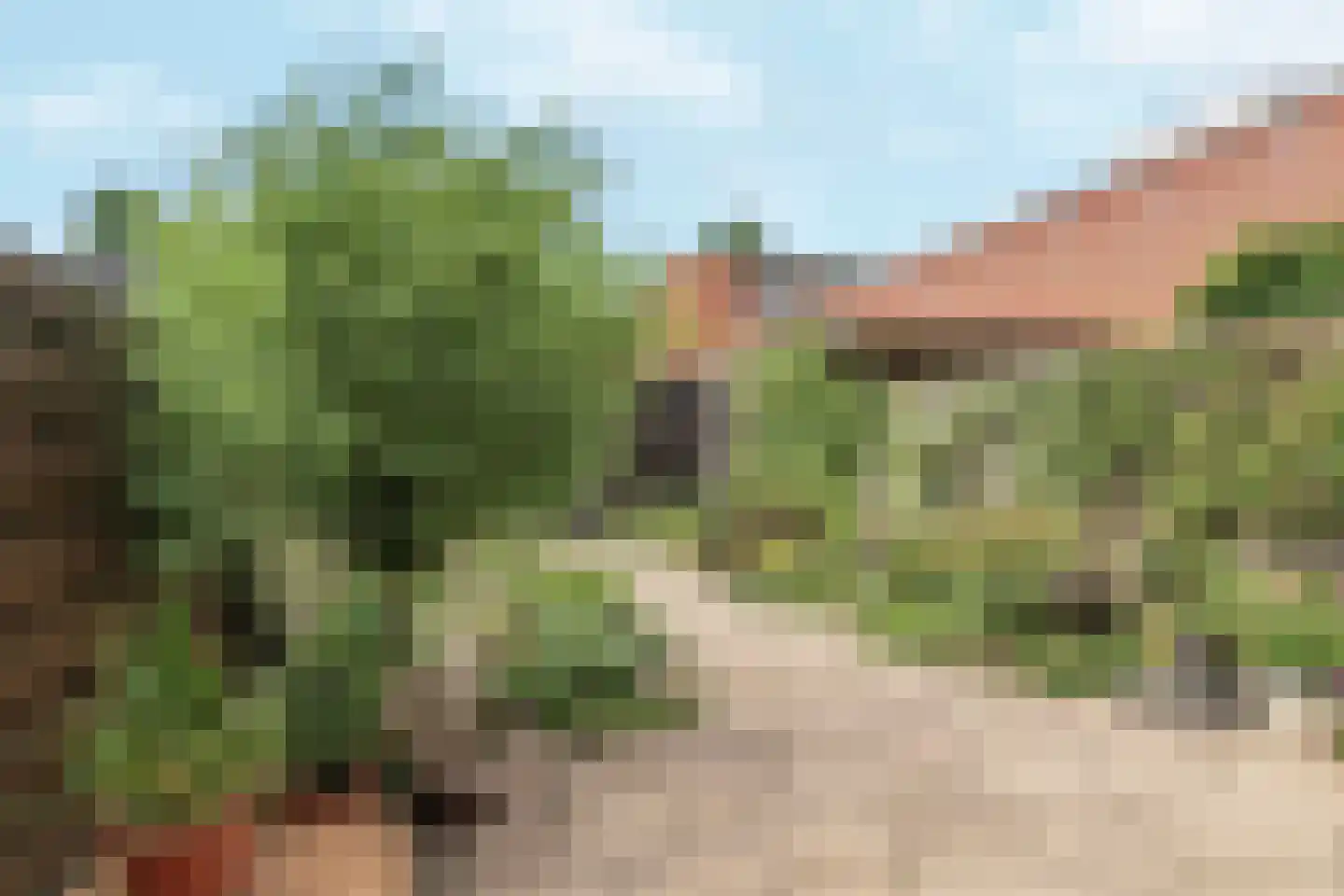 Hof van Gent 49 Doetinchem thumbnail 31