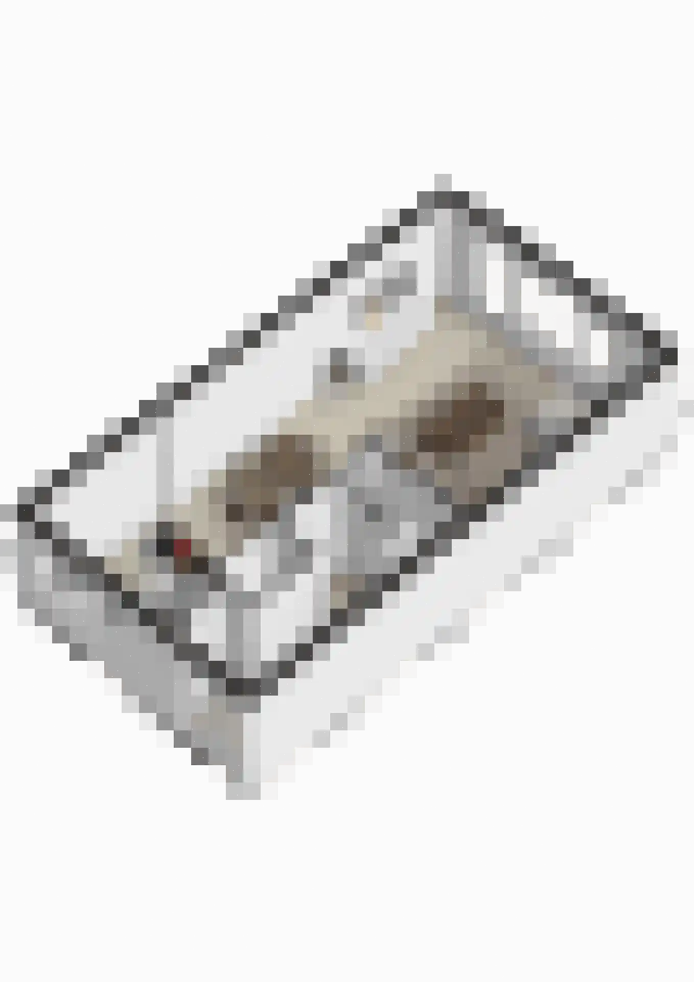 Hof van Gent 49 Doetinchem thumbnail 37