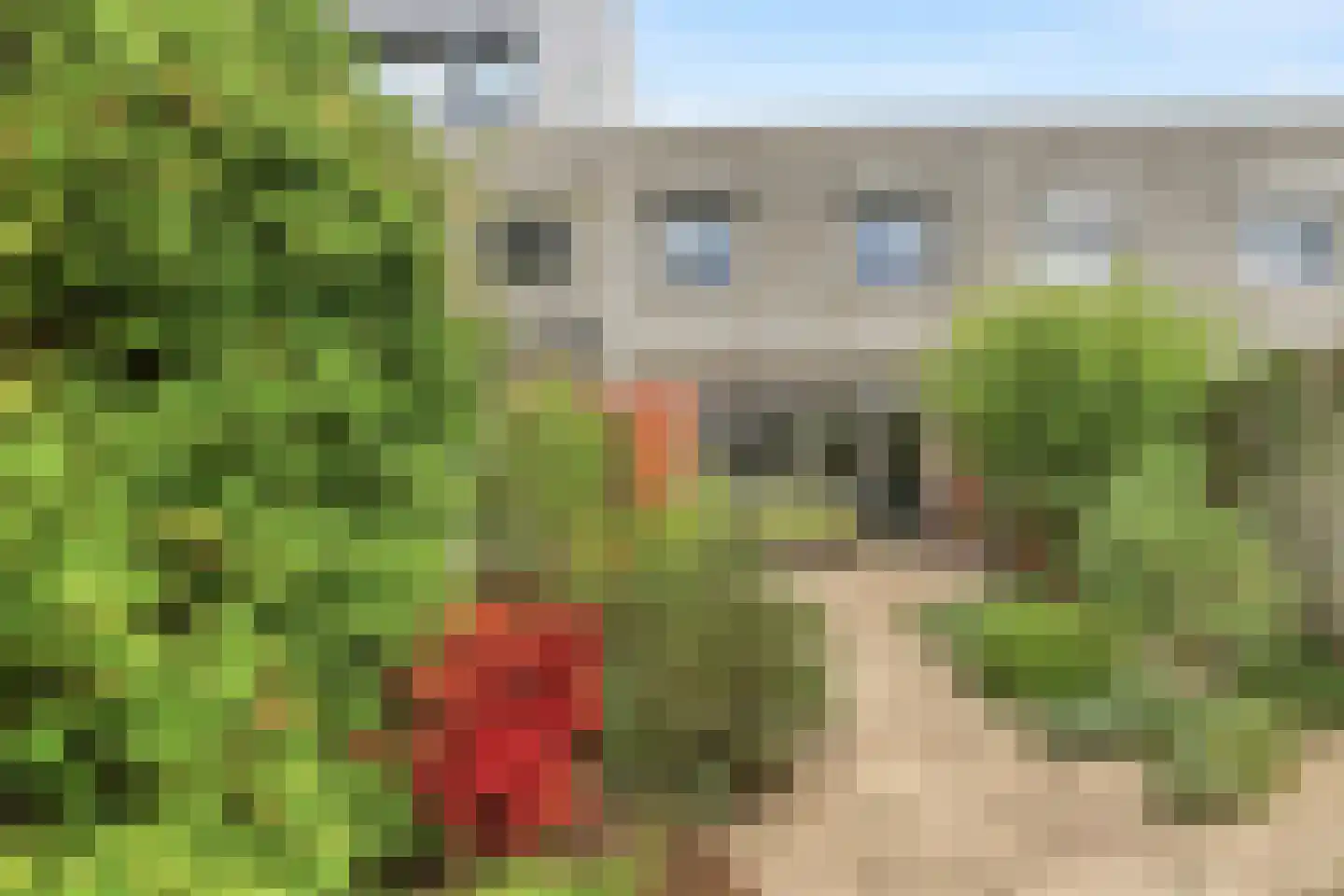 Hof van Gent 49 Doetinchem thumbnail 5