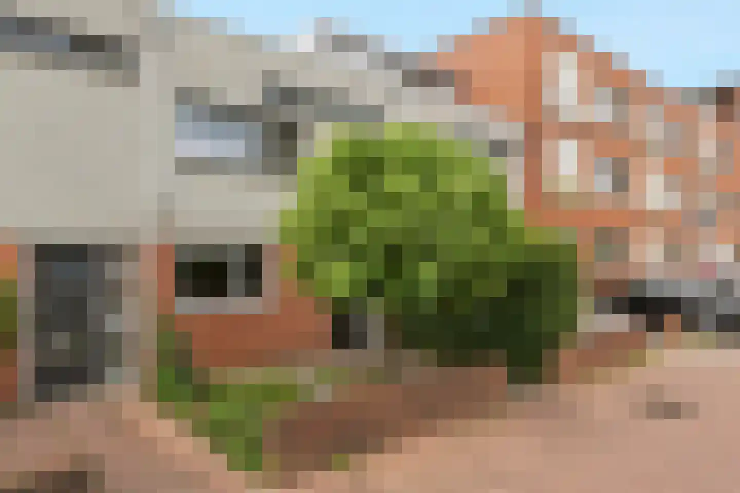 Hof van Gent 49 Doetinchem thumbnail 6