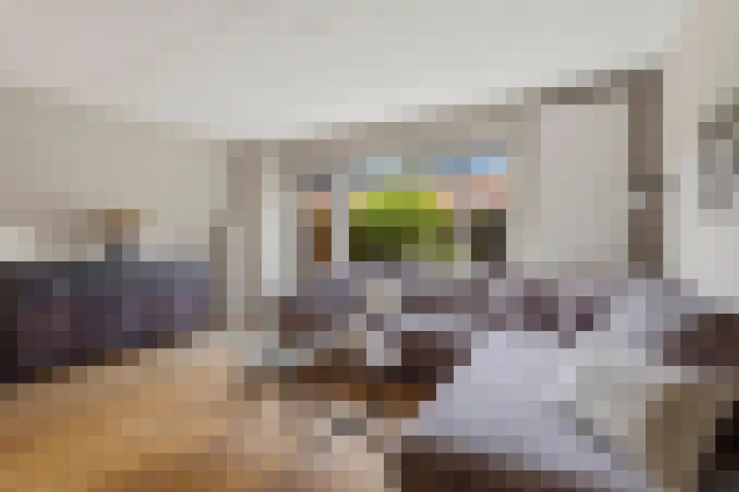 Hof van Gent 49 Doetinchem thumbnail 9