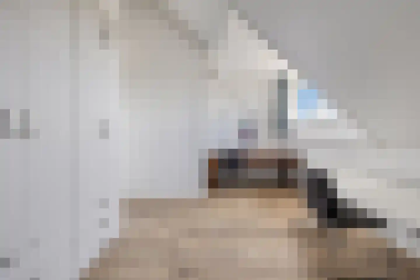 Hof van Gerwen 30 Veldhoven thumbnail 32