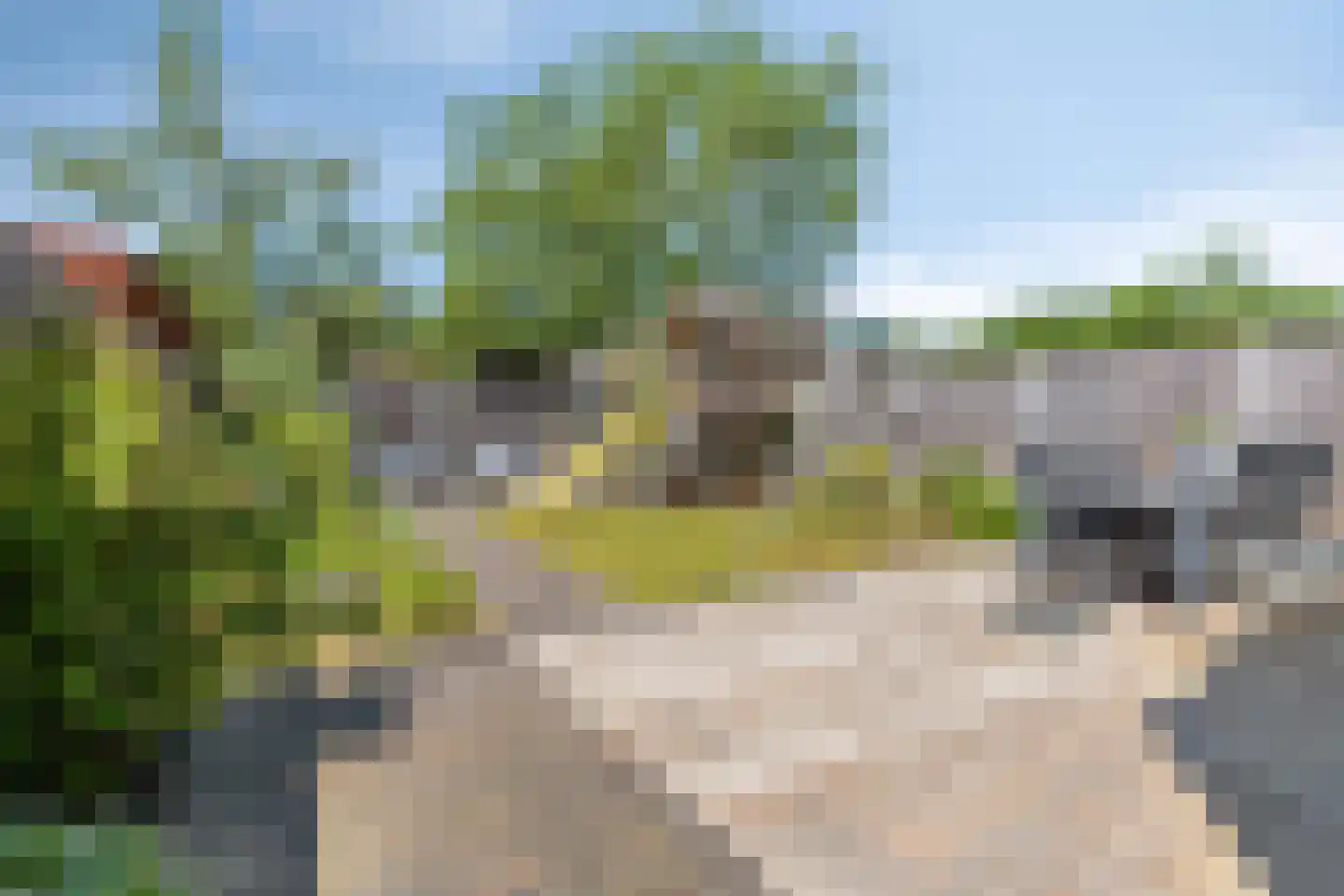 Hof van Gerwen 30 Veldhoven thumbnail 38