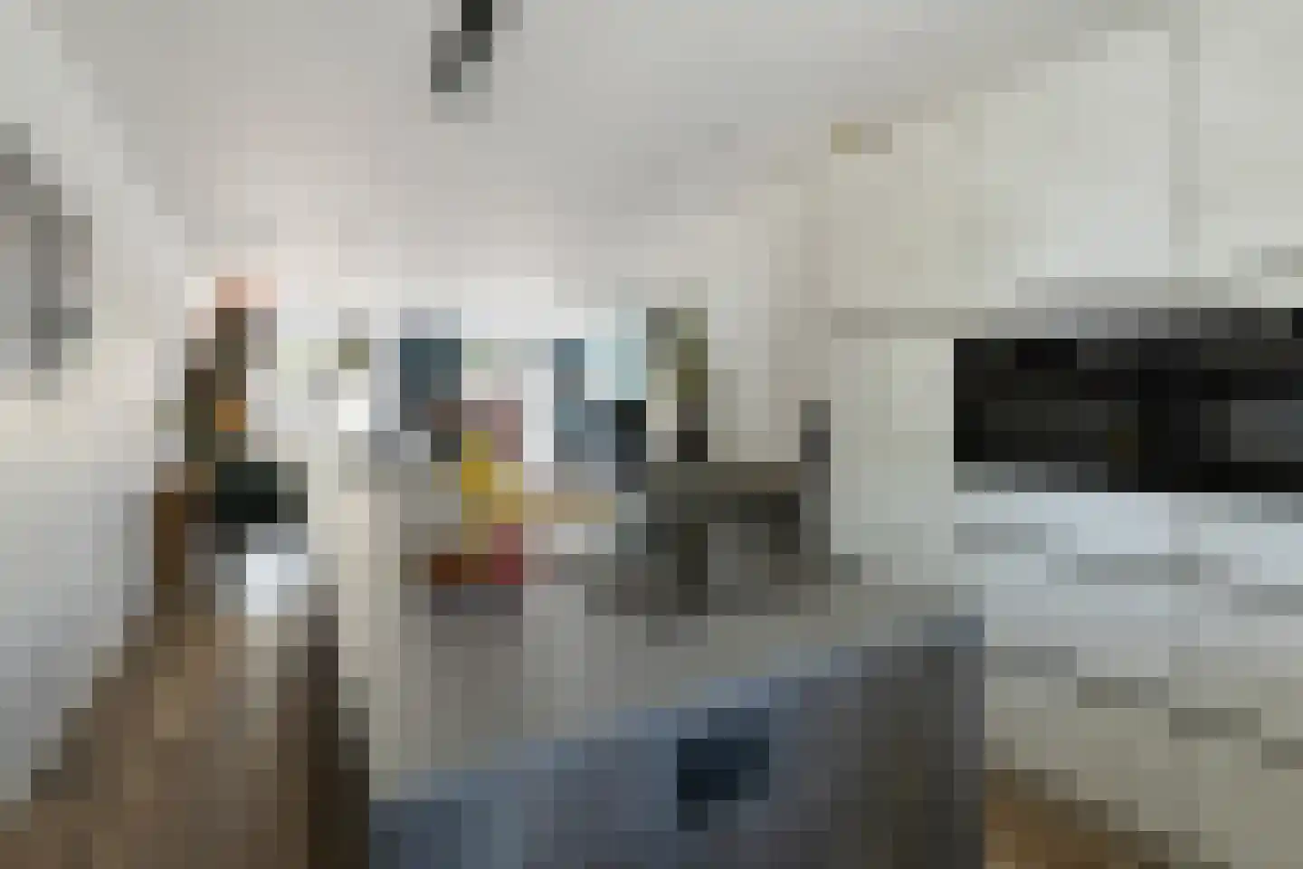 Hof van Gerwen 30 Veldhoven thumbnail 8