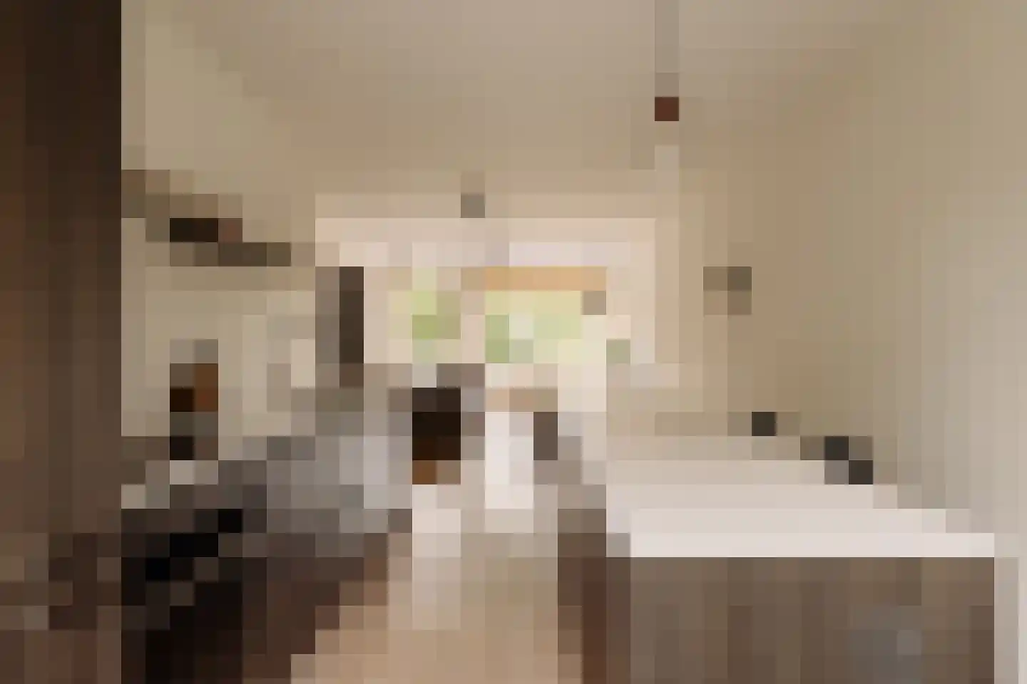 Hof van Groenen 12 Amsterdam thumbnail 10