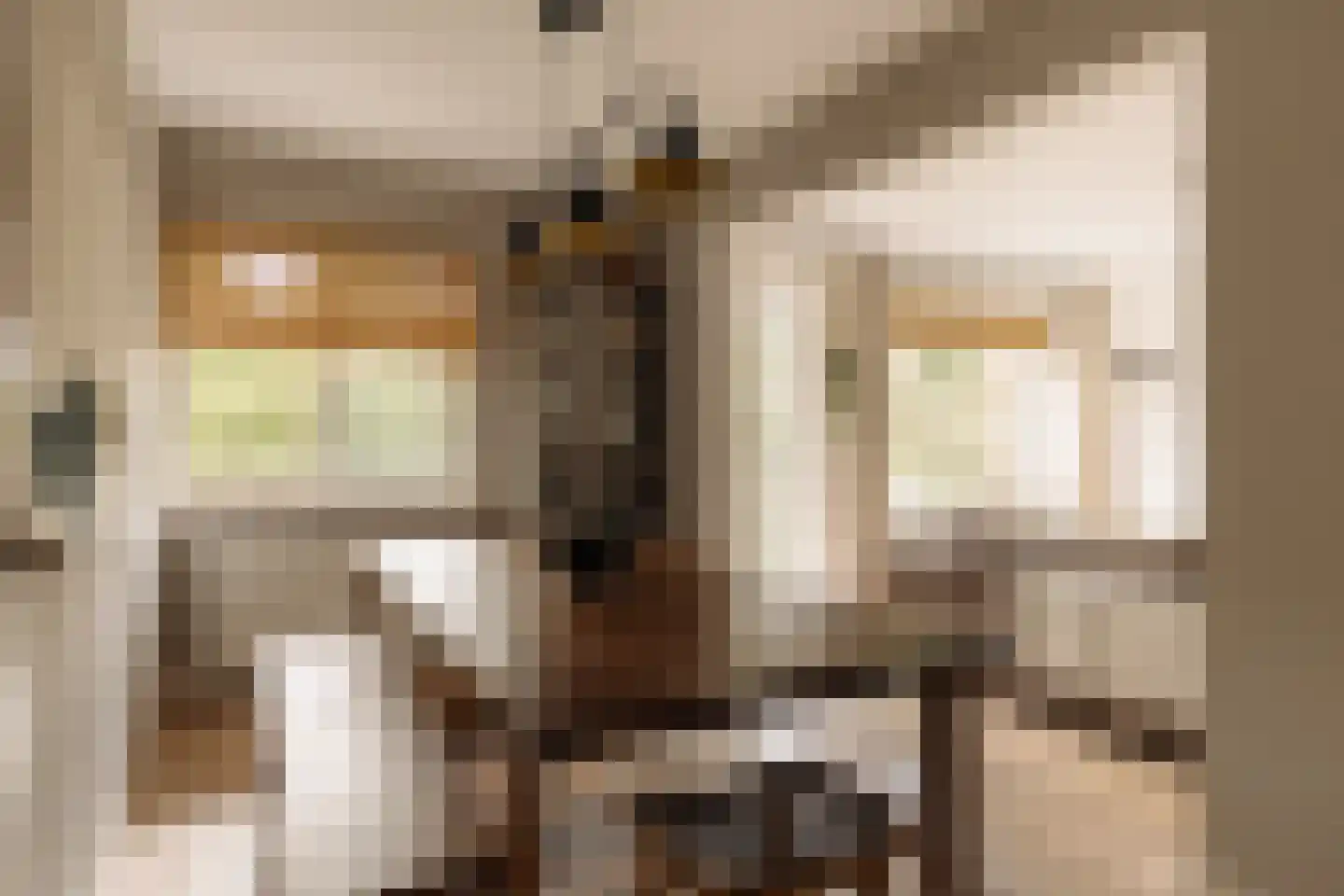 Hof van Groenen 12 Amsterdam thumbnail 11