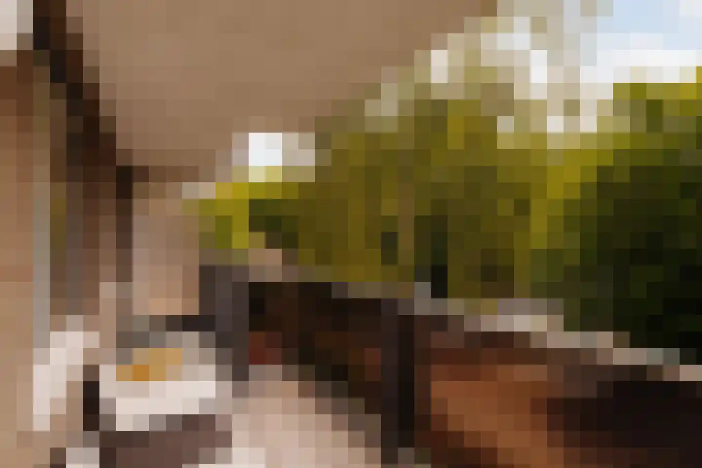 Hof van Groenen 12 Amsterdam thumbnail 12
