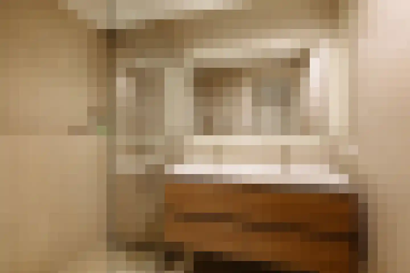 Hof van Groenen 12 Amsterdam thumbnail 19