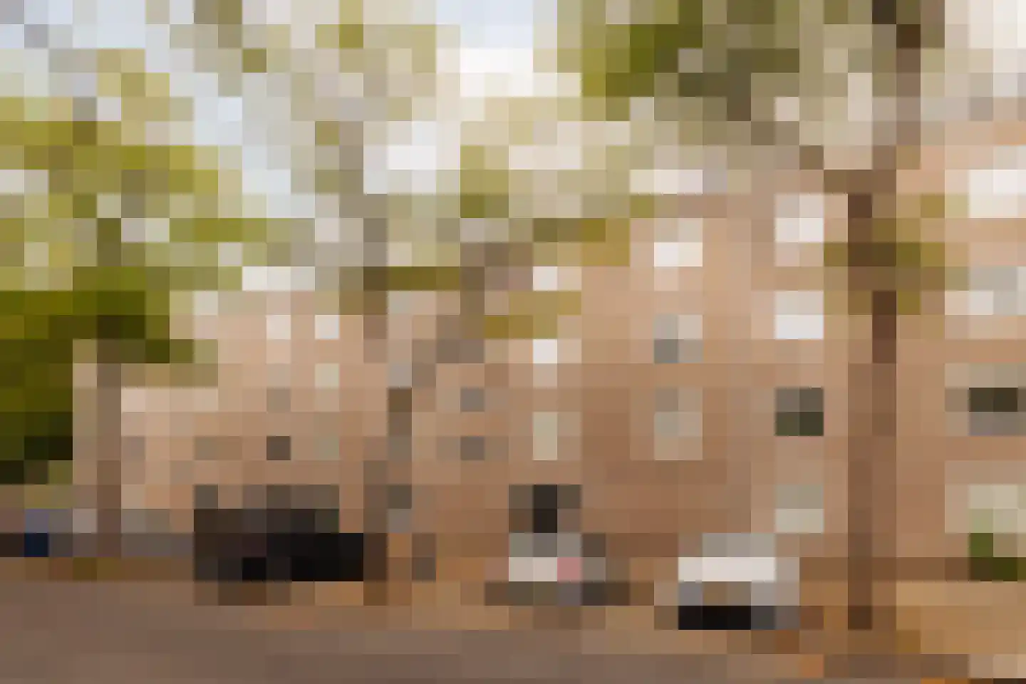 Hof van Groenen 12 Amsterdam thumbnail 23