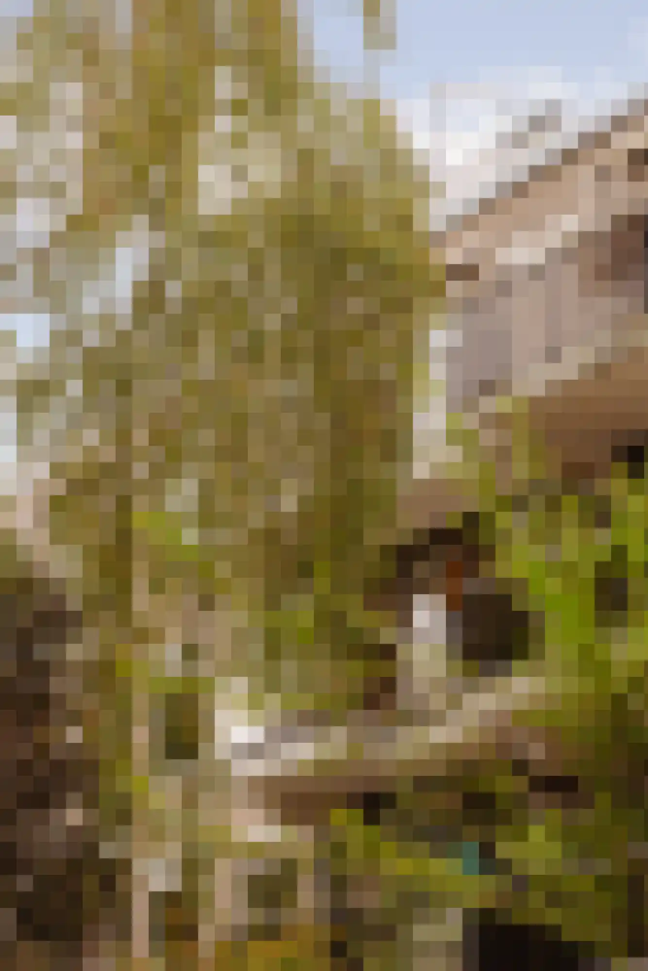 Hof van Groenen 12 Amsterdam thumbnail 24