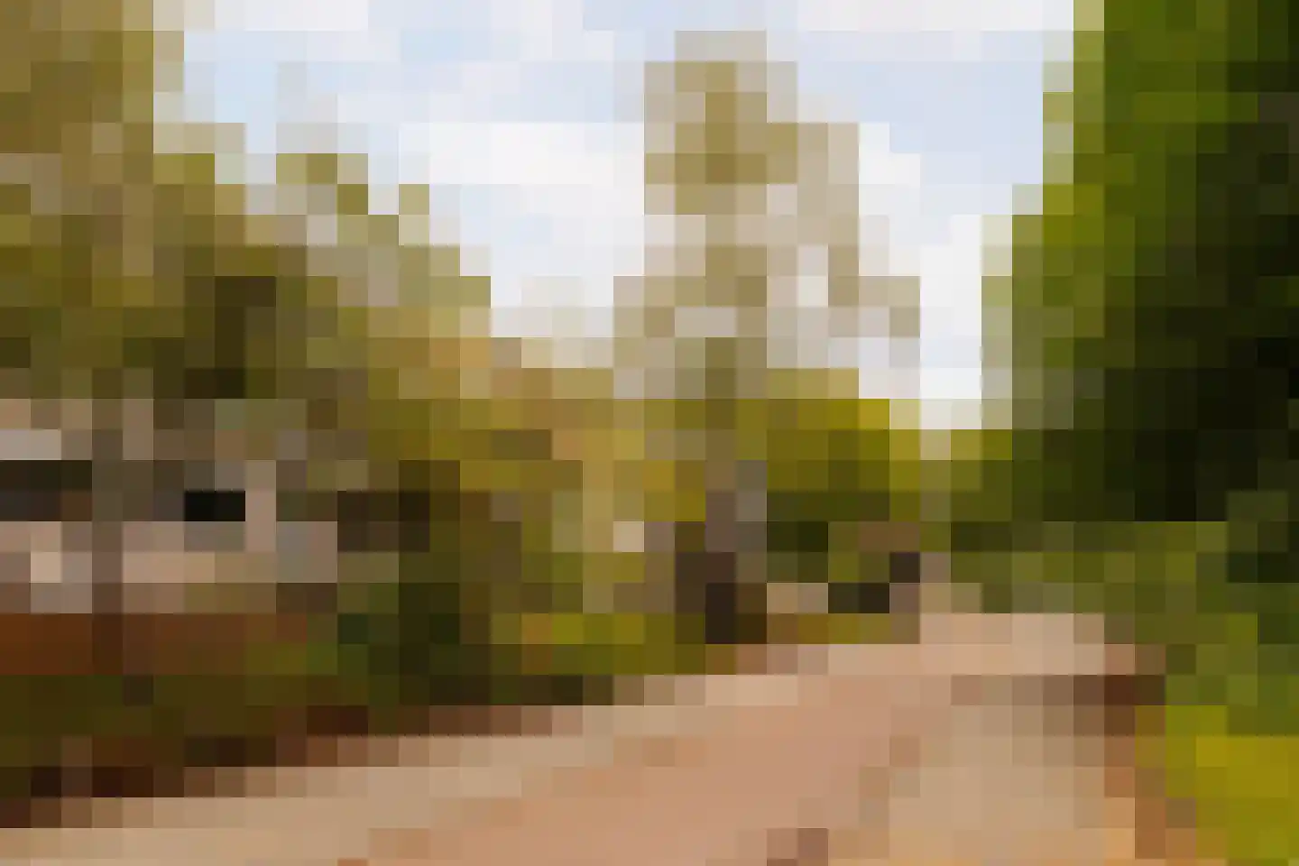 Hof van Groenen 12 Amsterdam thumbnail 25