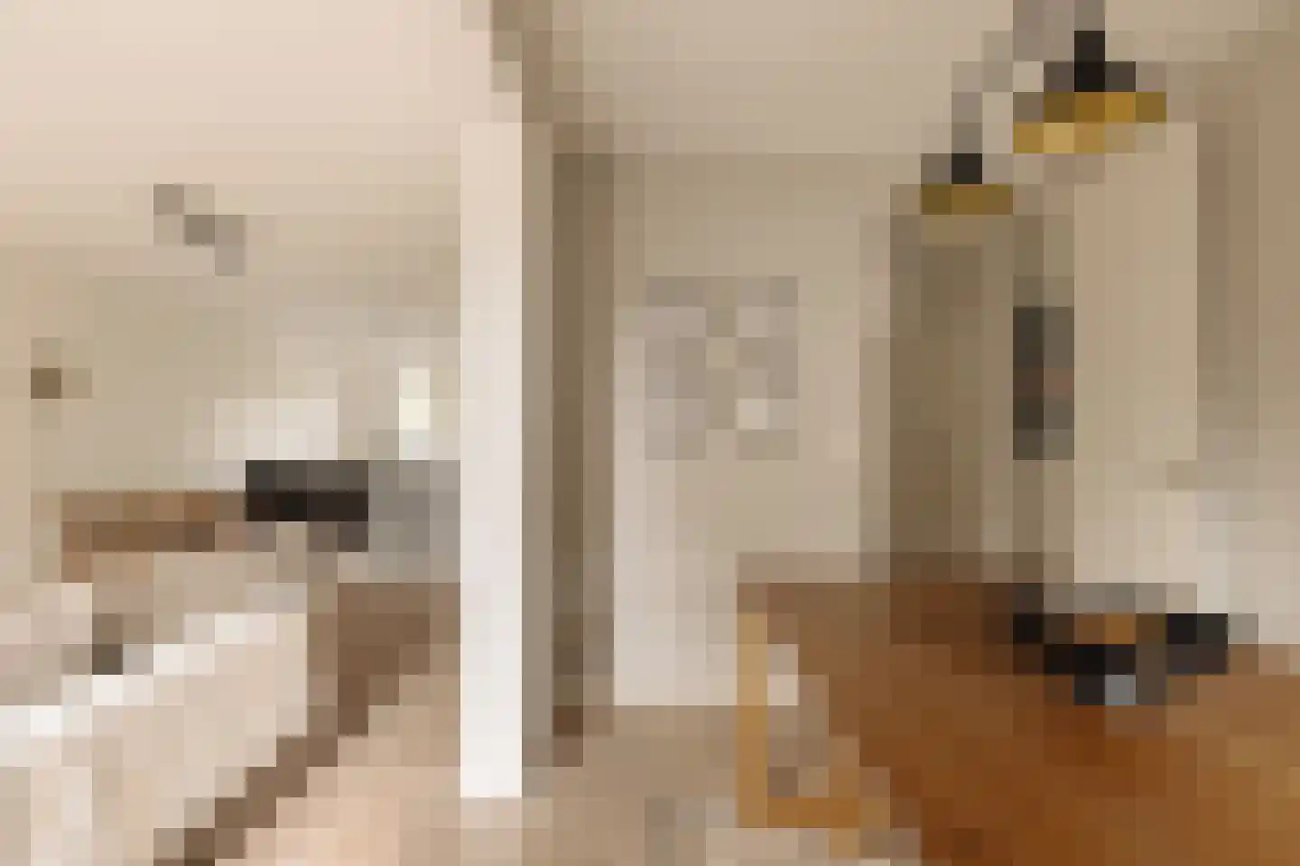 Hof van Groenen 12 Amsterdam thumbnail 5
