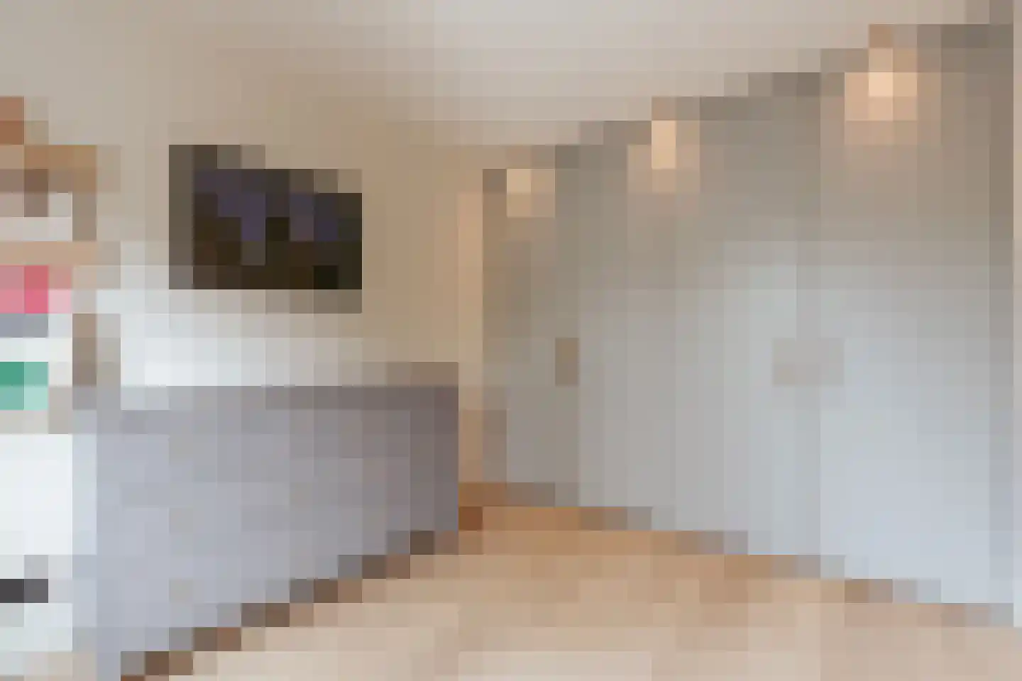 Hof van Groenen 13 Amsterdam thumbnail 20