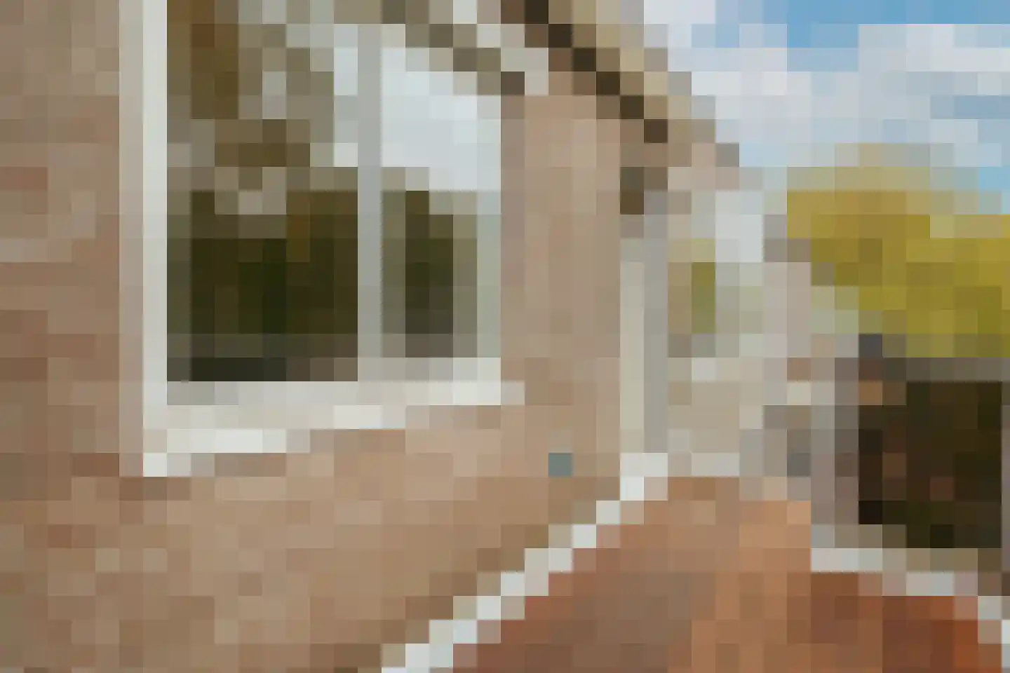 Hof van Groenen 13 Amsterdam thumbnail 9