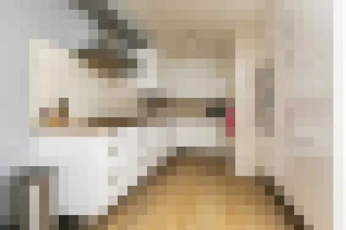 Hof van Groenen 3 Amsterdam thumbnail 6