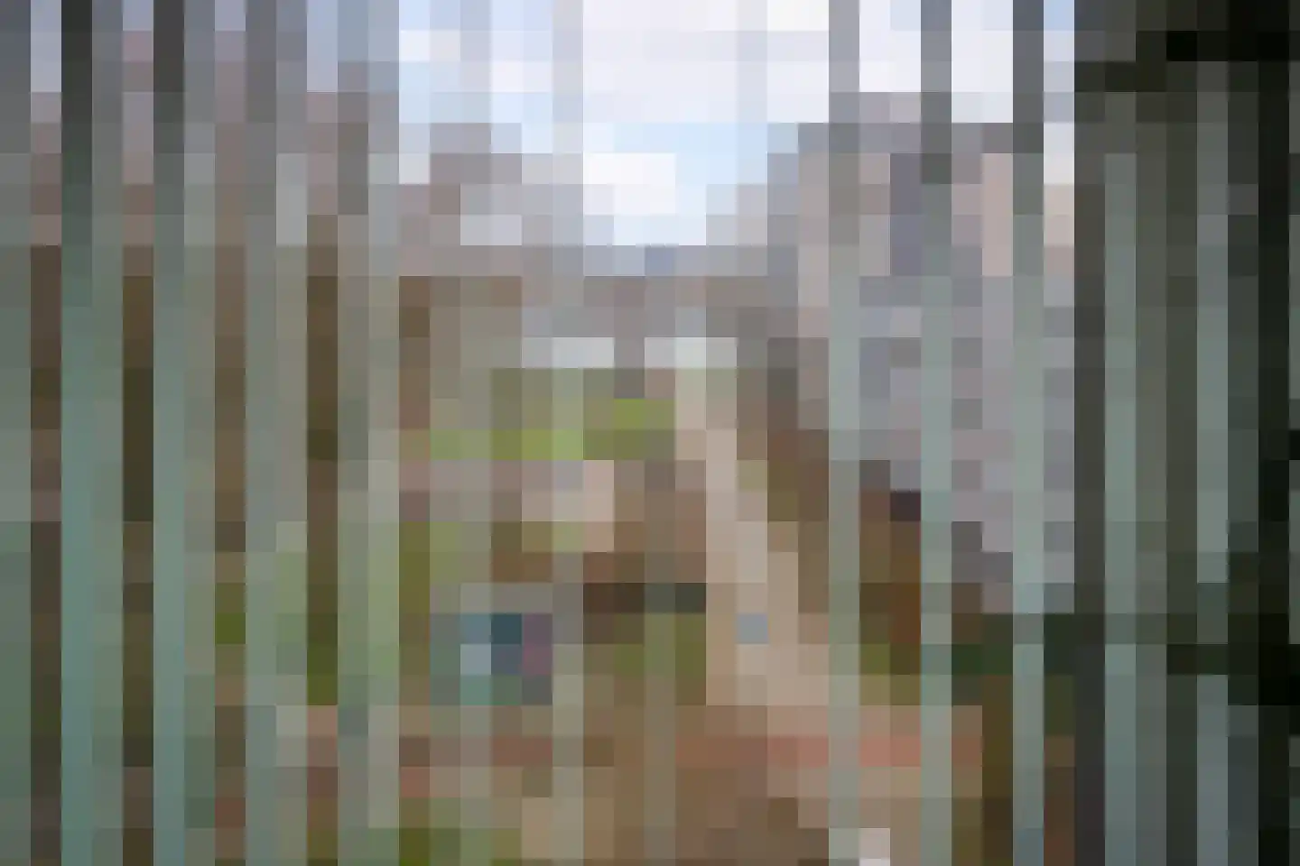 Hof van Groenen 42 Amsterdam thumbnail 19