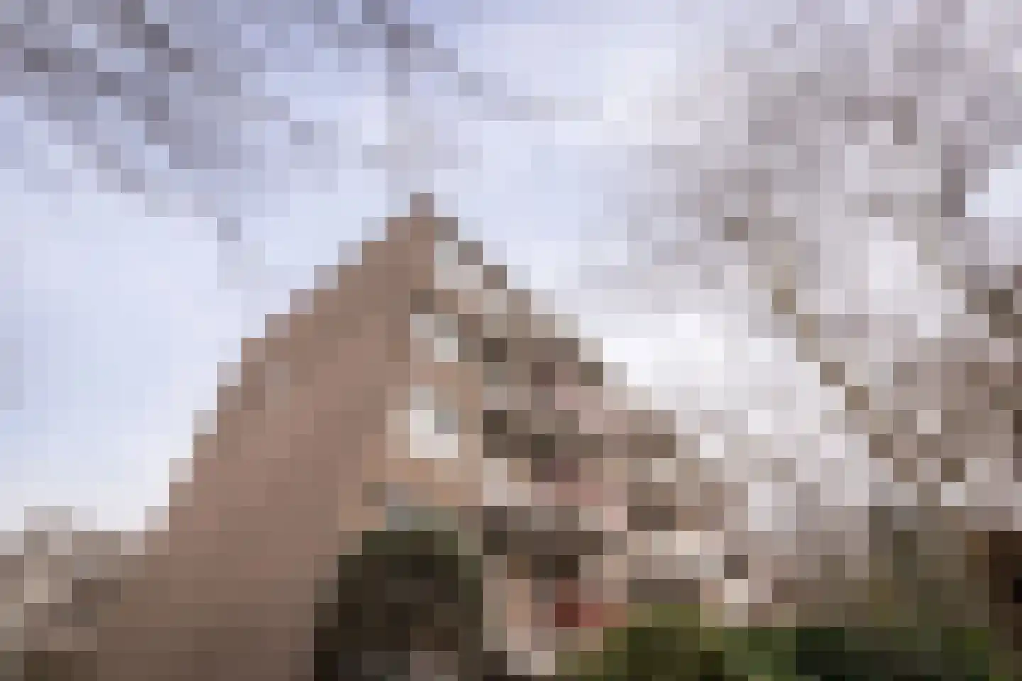 Hof van Groenen 42 Amsterdam thumbnail 35