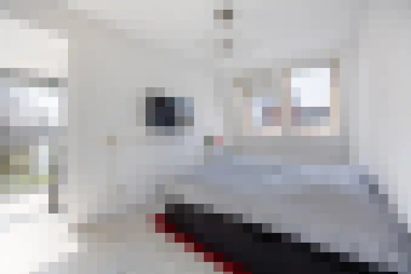 Hof van Hagevoort 102 Wijchen thumbnail 29